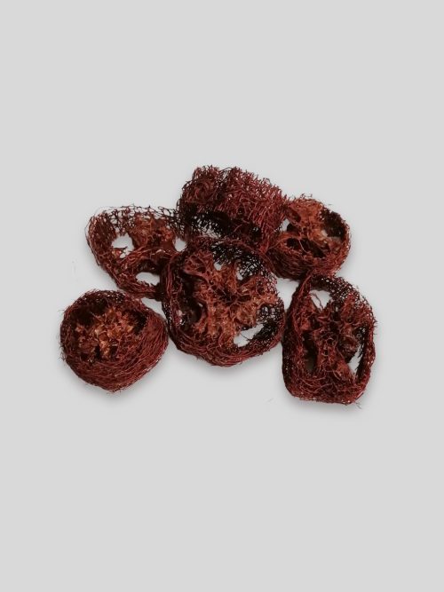 Luffa szeletek - barna