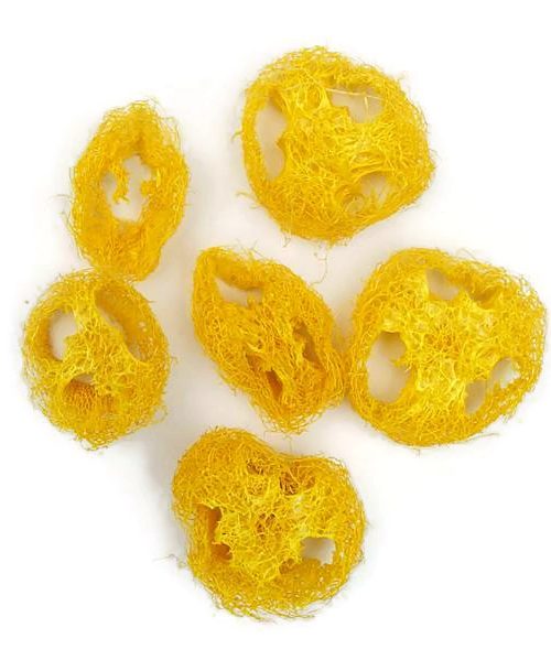 Szárazvirág alapanyag - Luffatök szeletek (sárga)