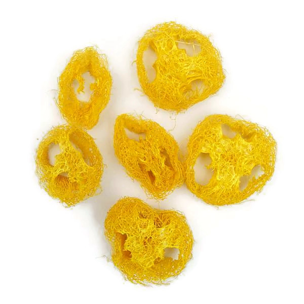 Szárazvirág alapanyag - Luffatök szeletek (sárga)
