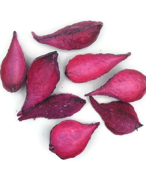 Szárazvirág alapanyag - vaddohány ciklámen színű