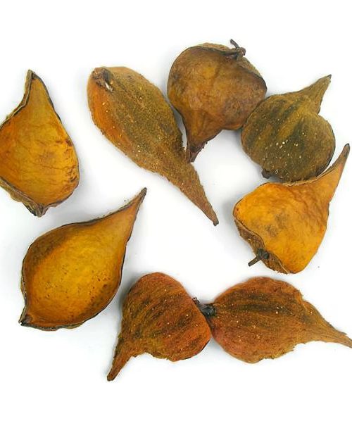 Szárazvirág alapanyag - vaddohány narancs színű