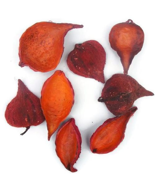 Szárazvirág alapanyag - vaddohány piros színű