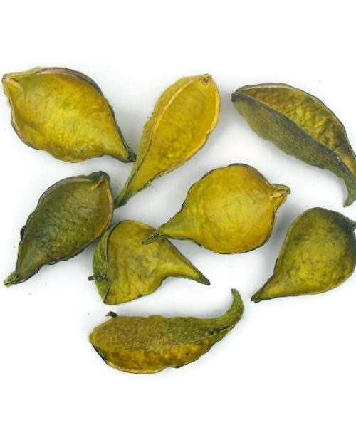 Szárazvirág alapanyag - vaddohány sárga színű