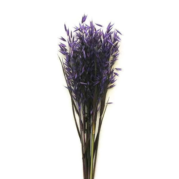 Szárazvirág alapanyag - zab lila színű