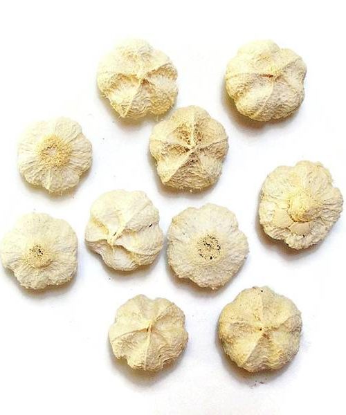 fokhagyma-termes-feheritett