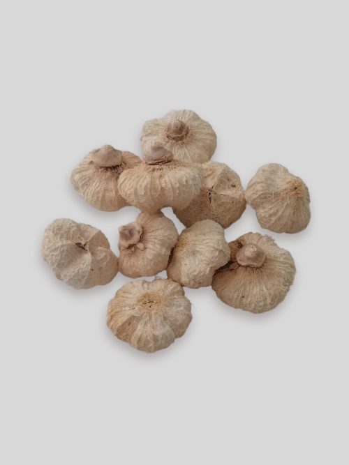 Fokhagyma termés - fehérített