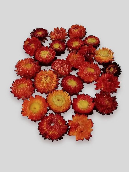 Szalmarózsa (narancs)