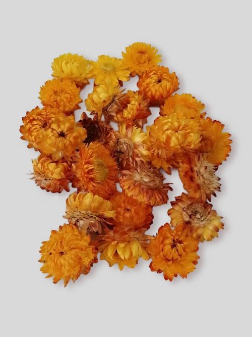 Szalmarózsa (sárga)