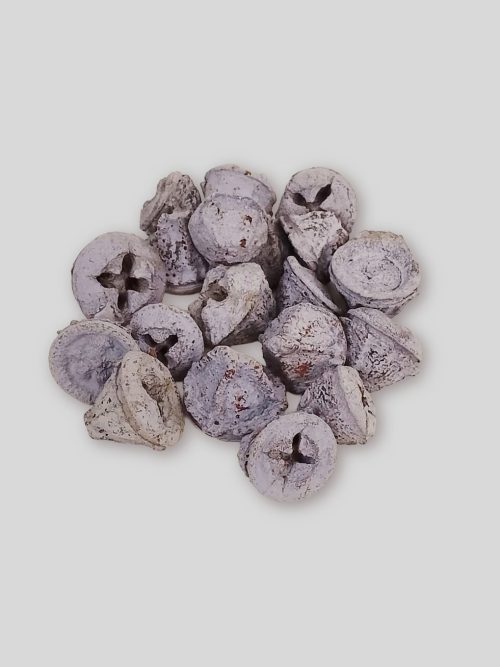 Eukalyptus gomb lila színben