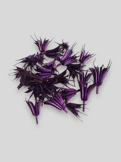 Koronás nigella fejek - lila