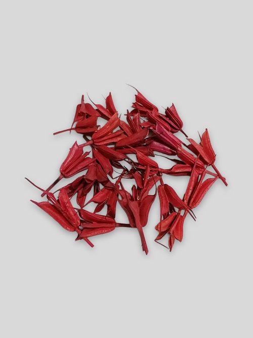 Koronás nigella fejek - piros