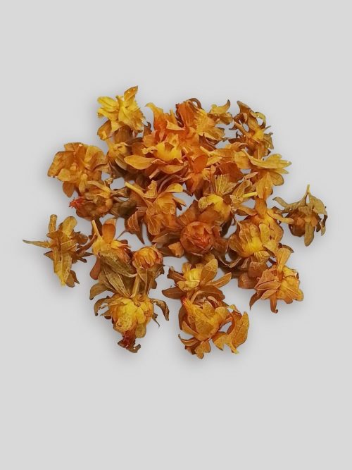 Sáfrányfejek narancs színben