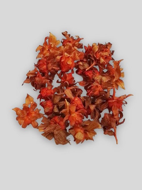 Sáfrányfejek piros színben