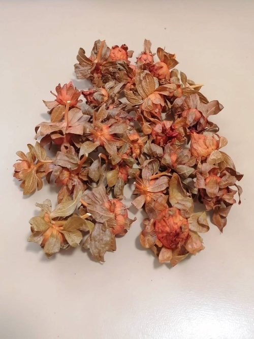 Sáfrányfejek - narancs