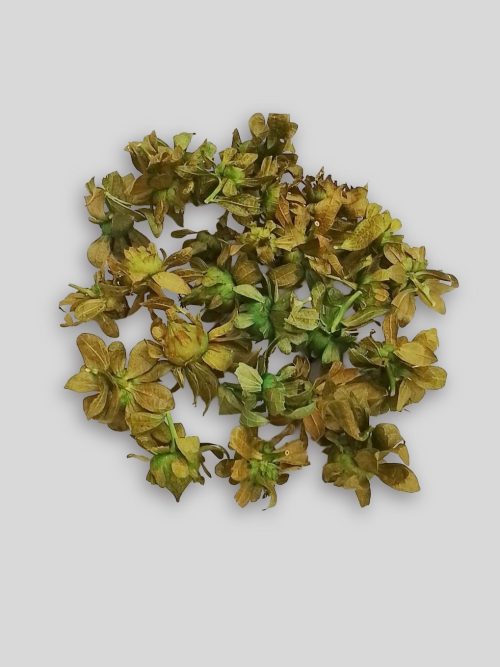 Sáfrányfejek zöld