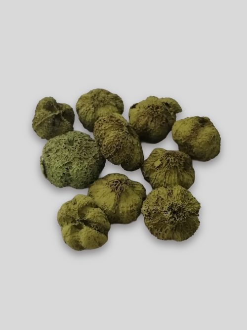 Fokhagymatermés - zöld