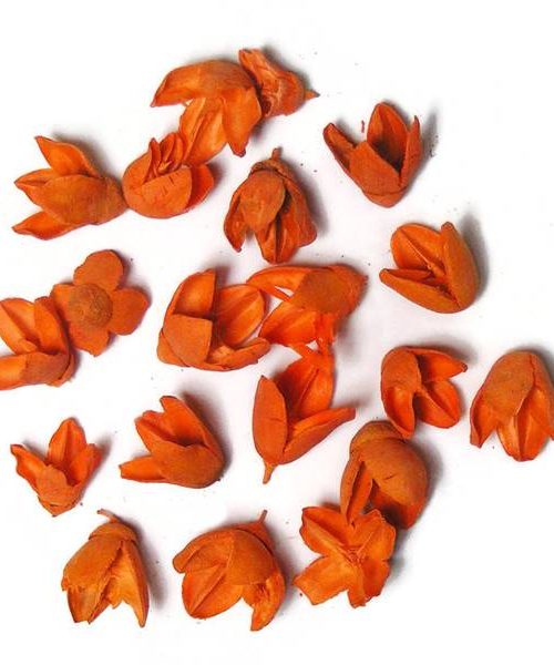 Bakuli narancs színben