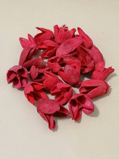 Bakuli piros színű