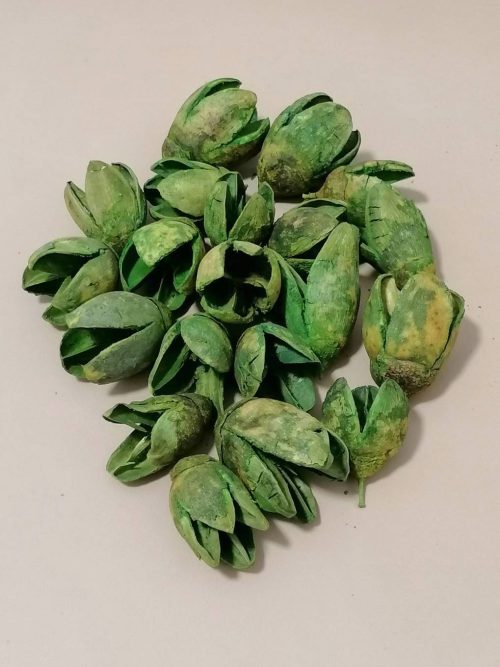 Bakuli zöld színű