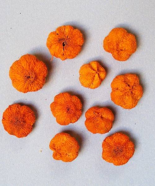 Fokhagyma termés (narancs)