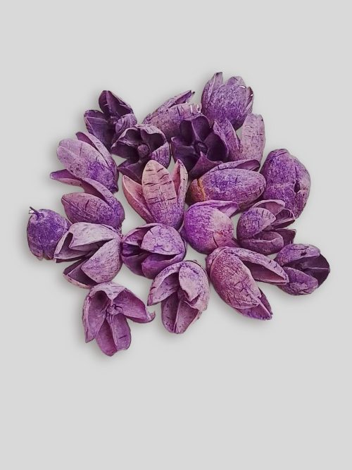 Bakuli lila színben