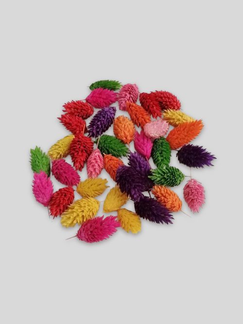 Sáfrányfejek vegyes színekben