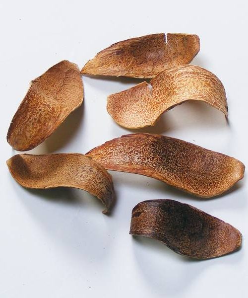 Mehogany spoon (natúr)