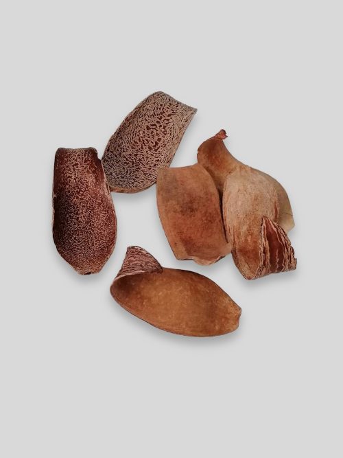 Mehogany spoon (natúr)