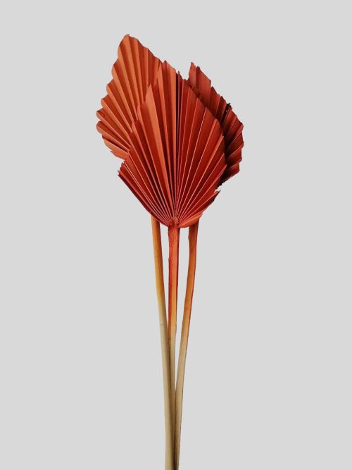 Pálmalevél mini (narancs)