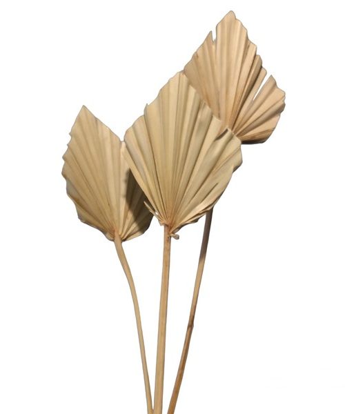 Pálmalevél mini (natúr)