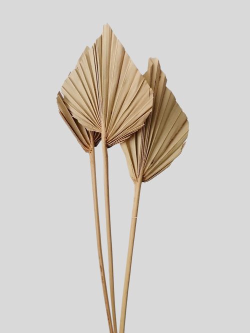 Pálmalevél mini (natúr)