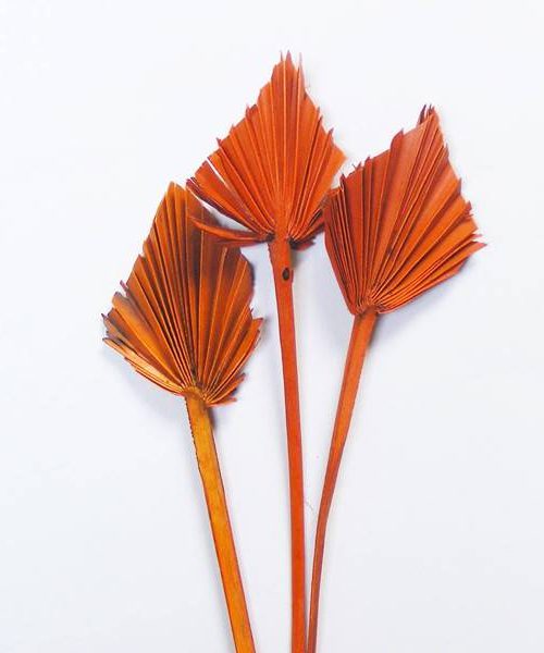 Pálmalevél mini (narancs)