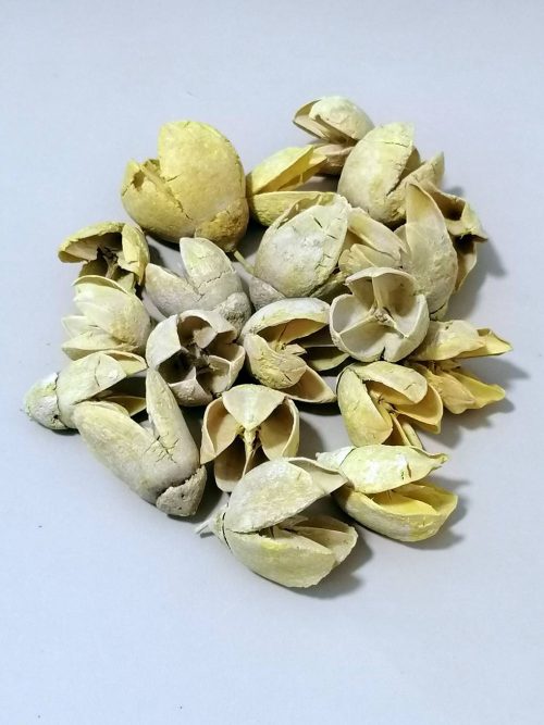 Bakuli sárga színben