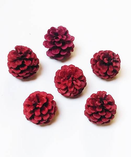 Feketefenyő toboz (piros)