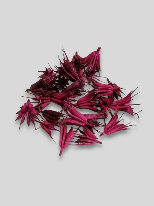 Koronás nigella fejek - ciklámen