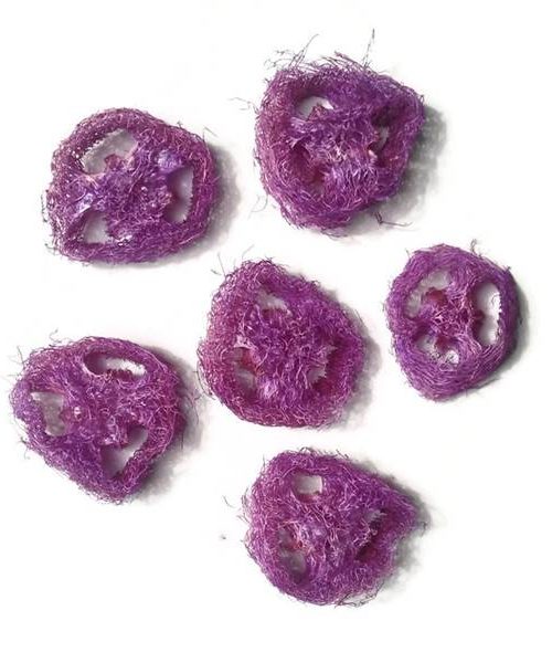 Luffatök szeletek (lila)