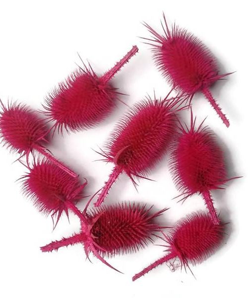 Takácsmácsonya fejek - ciklámen