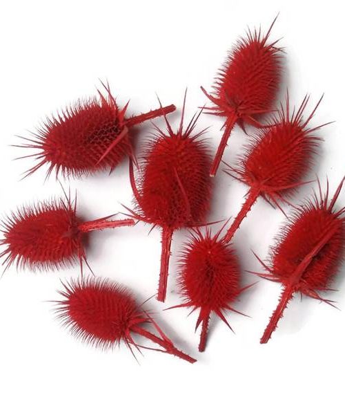 Takácsmácsonya fejek - piros