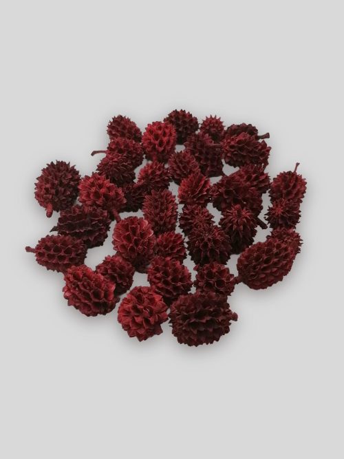 Casuarina bordó színben