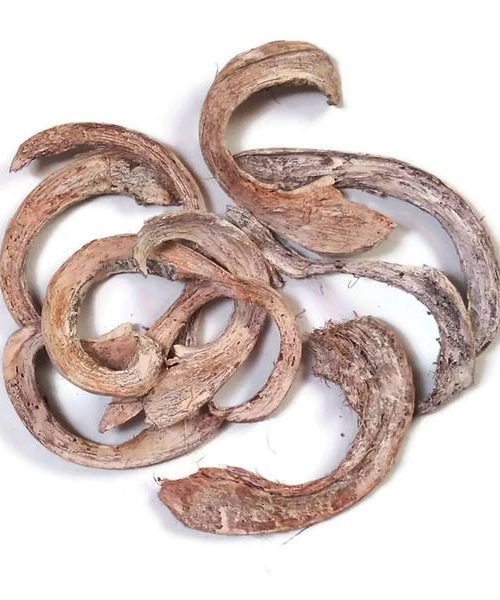 Kókuszhéj szelet - hamvas