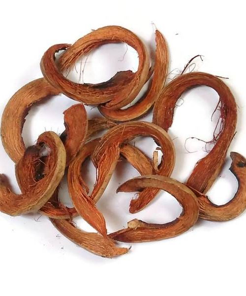 Kókuszhéj szelet - natúr