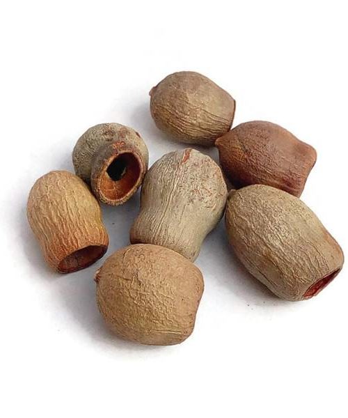 Eukalyptus Bell gum - natúr