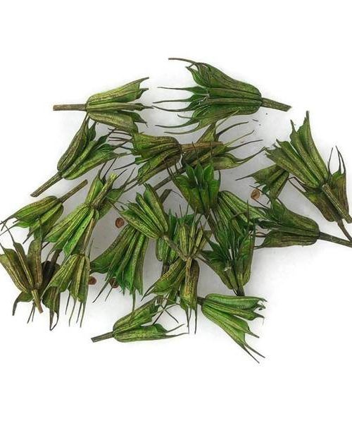 Koronás nigella (zöld)