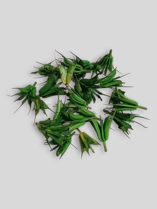 Koronás nigella fejek - zöld