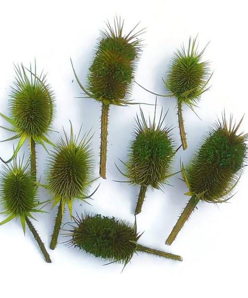 Takácsmácsonya fejek - zöld