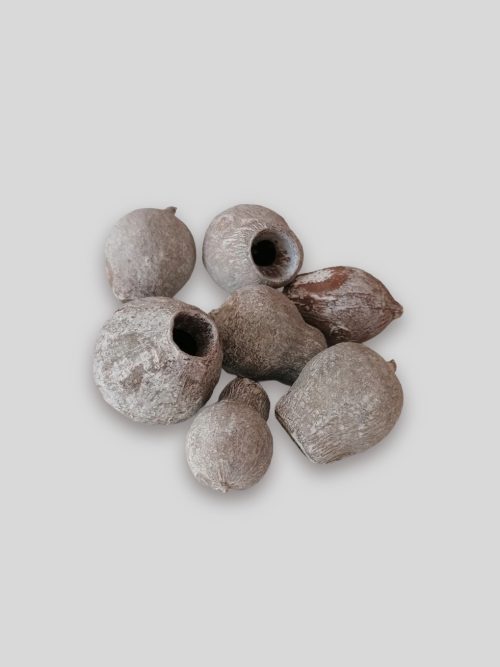 eukalyptus bell gum hamvas