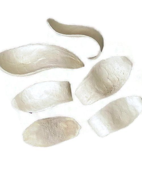 Mehogany spoon - fehér