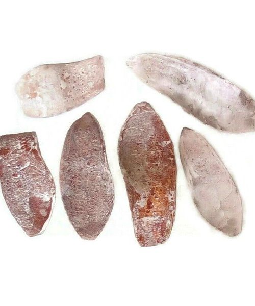 Mehogany spoon - hamvas