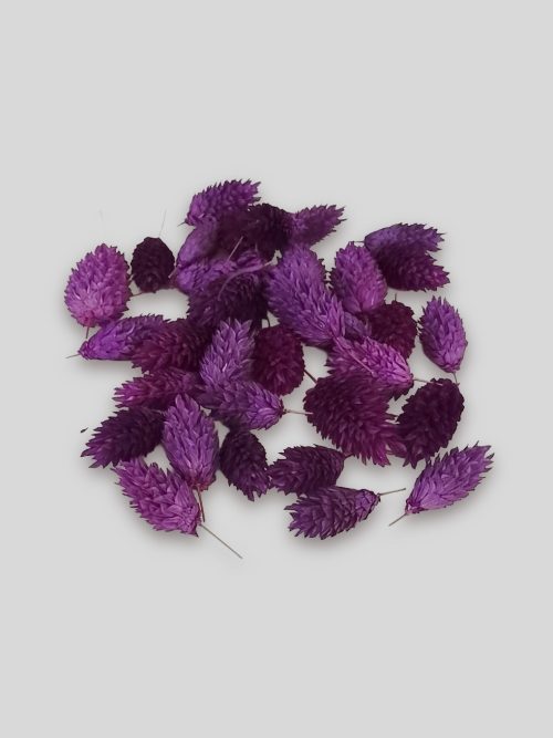 Fénymag fejek lila színben