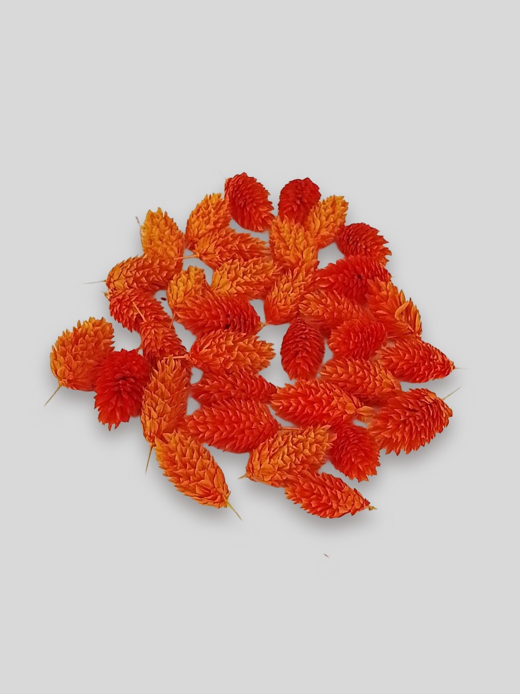 Fénymag fejek narancs színben